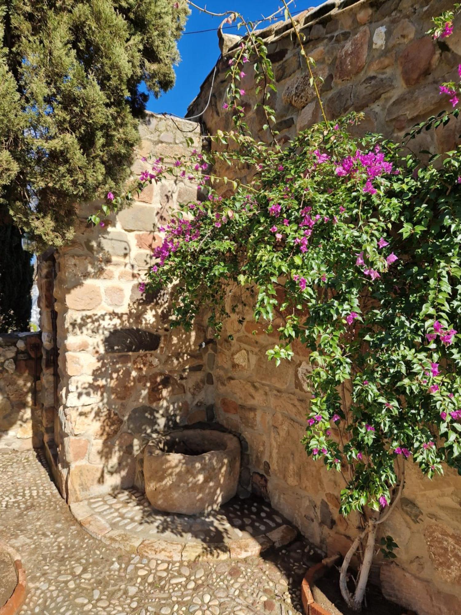 Colonos Alojamientos Rurales Guarroman Exterior photo